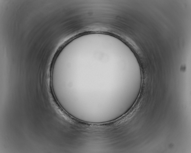 X0000097460840200802220805