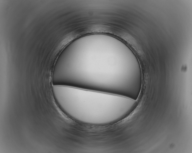 X0000097460841200802220805