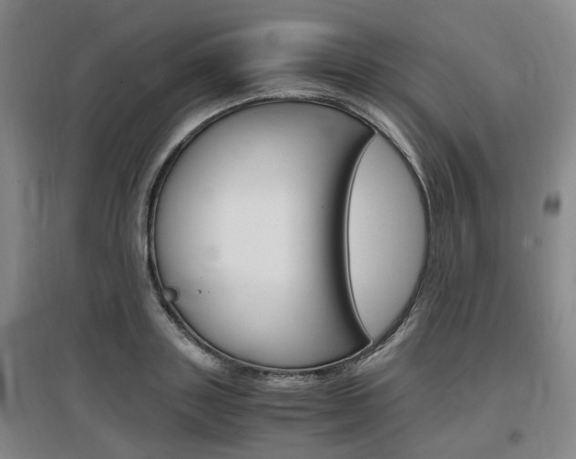 X0000097460843200802220805
