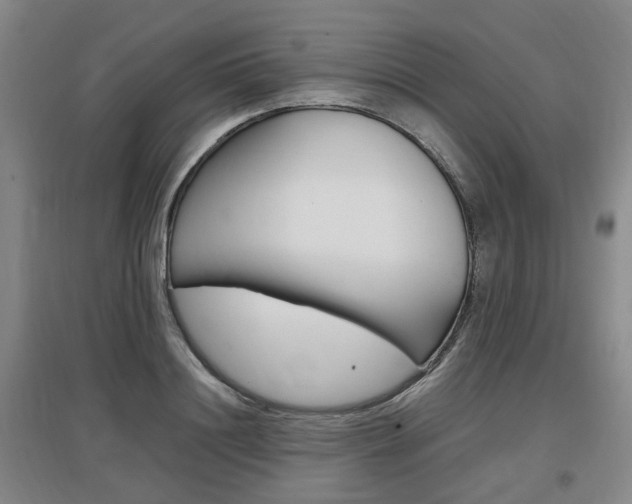 X0000097460844200802220805