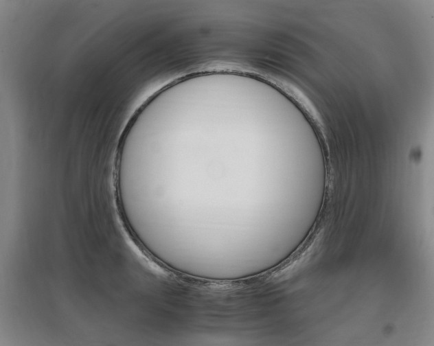 X0000097460847200802220805