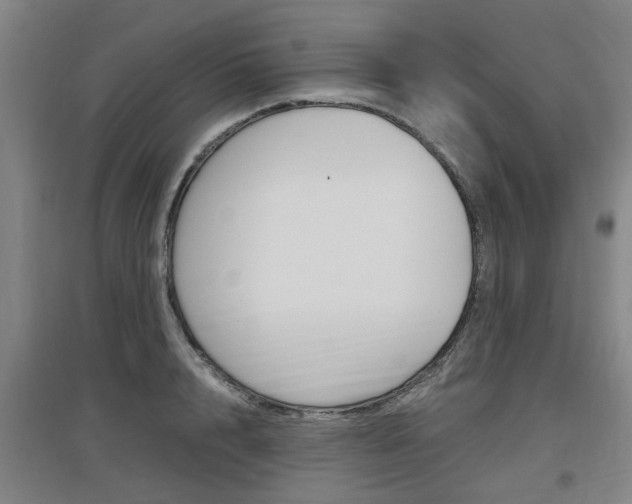 X0000097460848200802220805