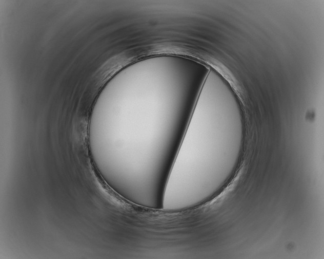 X0000097460849200802220805