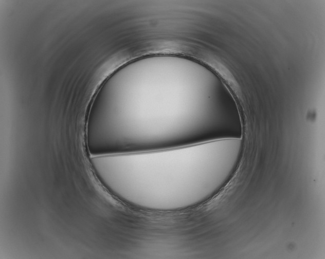 X0000097460850200802220805