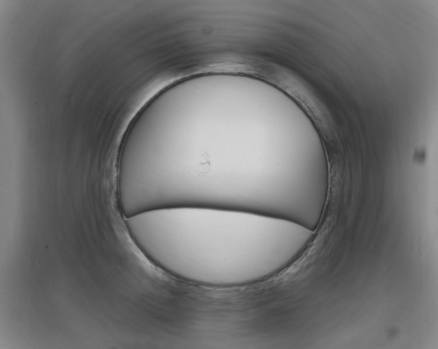 X0000097460852200802220805