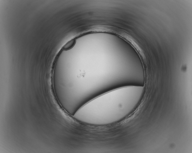 X0000097460853200802220805
