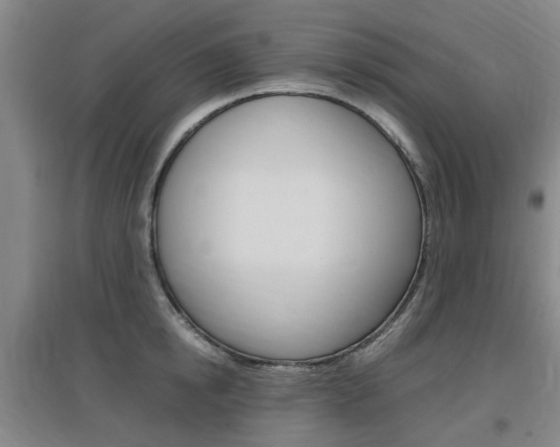 X0000097460854200802220805