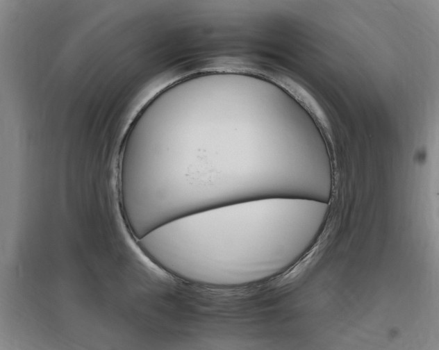 X0000097460855200802220805