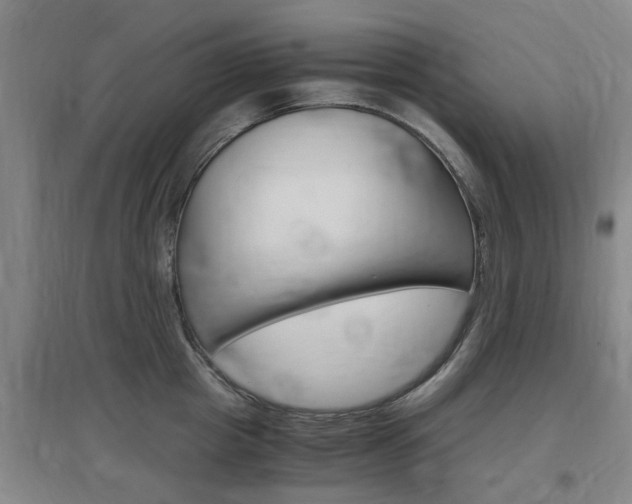 X0000097460857200802220805