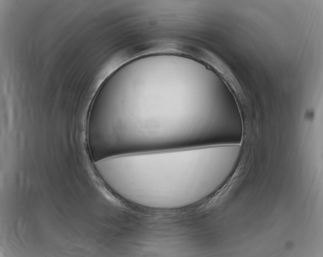 X0000097460858200802220805