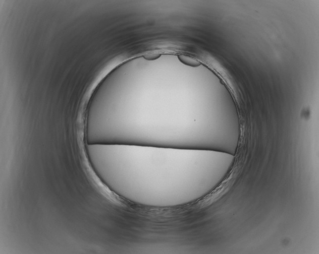 X0000097460859200802220805