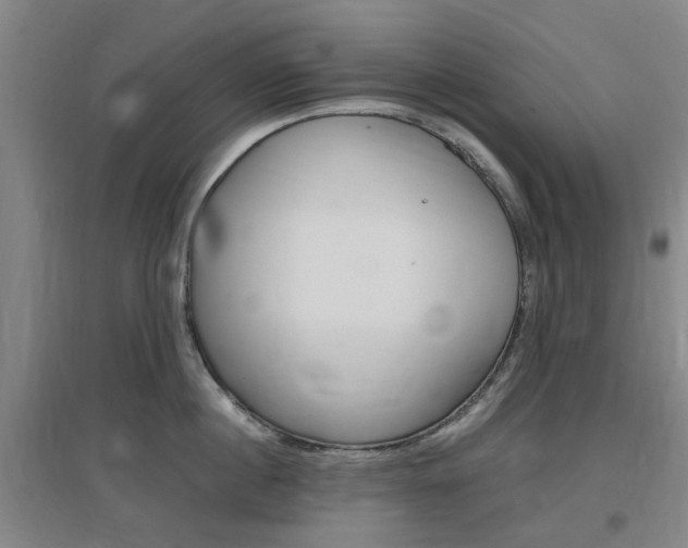 X0000097460860200802220805