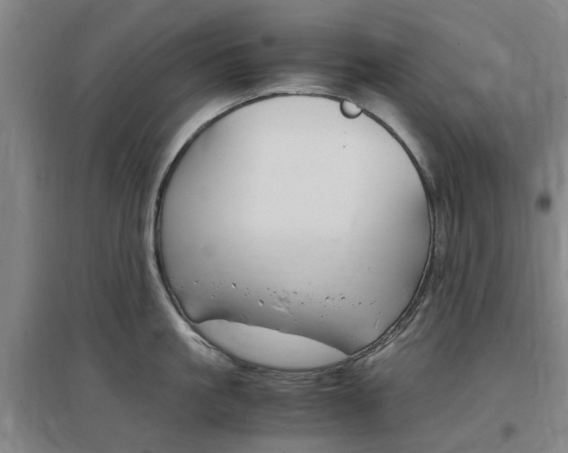 X0000097460861200802220805