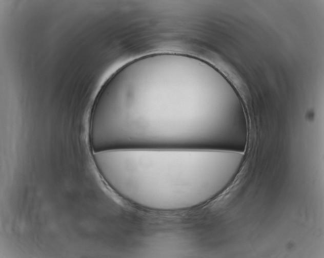 X0000097460862200802220805