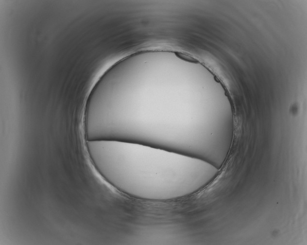 X0000097460863200802220805