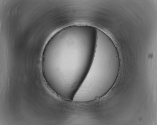 X0000097460864200802220805