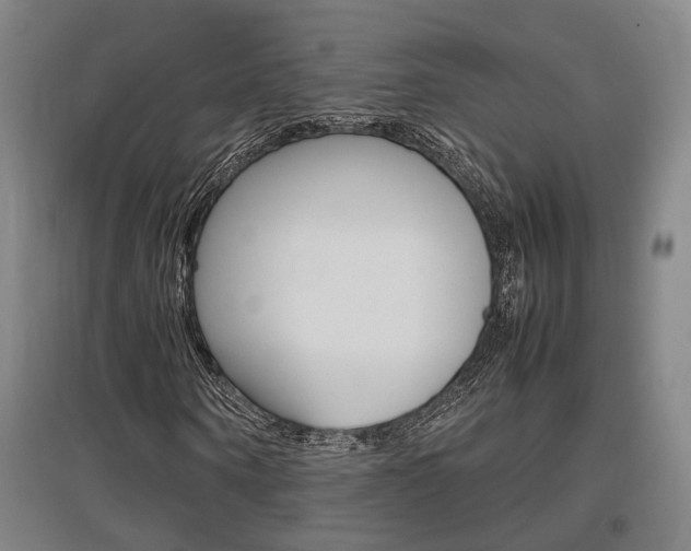 X0000097460866200802220804