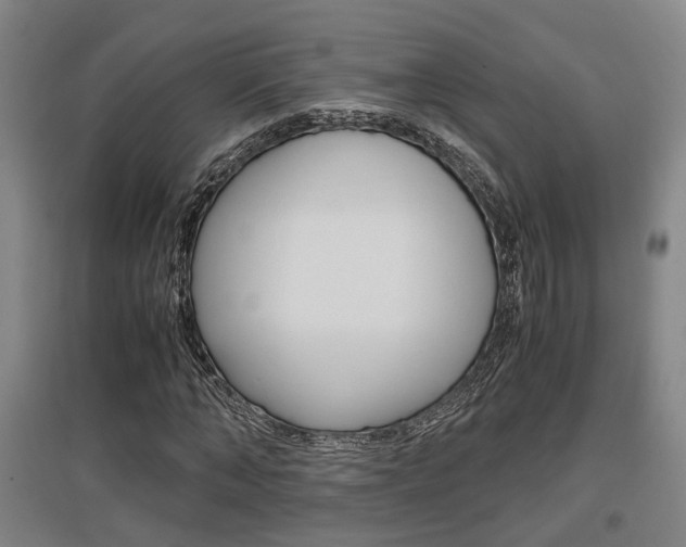 X0000097460870200802220804