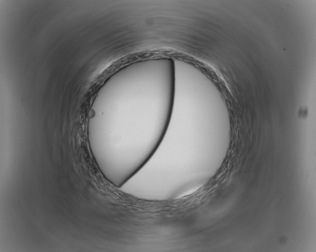 X0000097460871200802220804