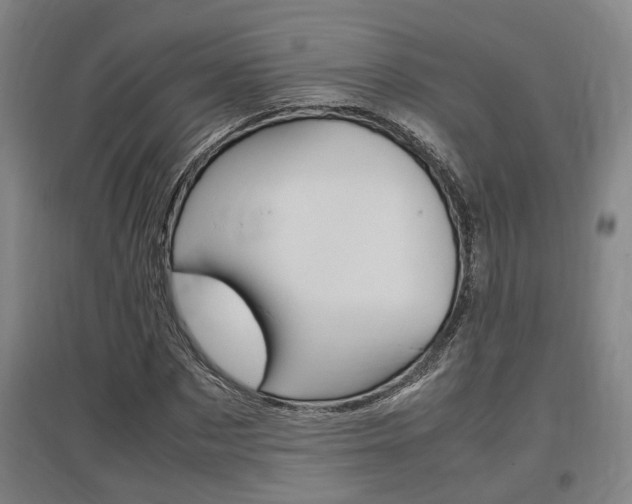 X0000097460873200802220804