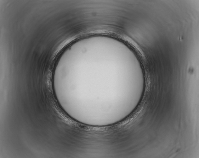 X0000097460874200802220804