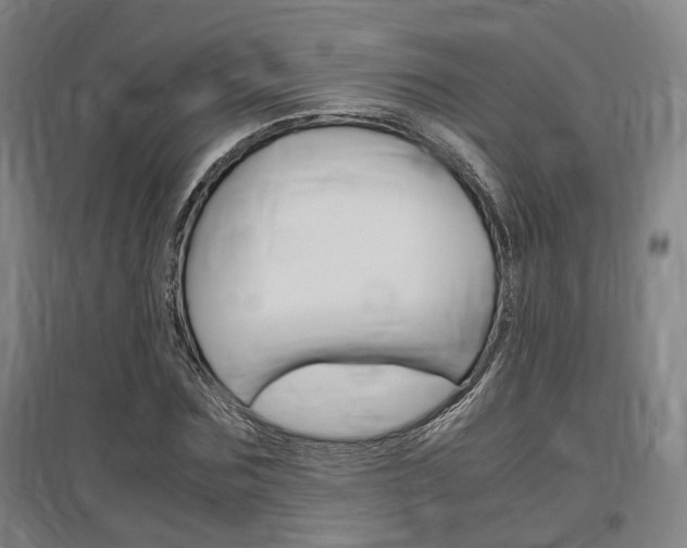 X0000097460875200802220804