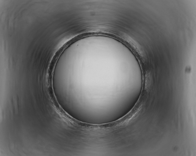X0000097460876200802220804
