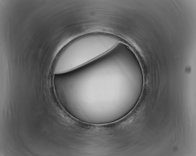 X0000097460877200802220804
