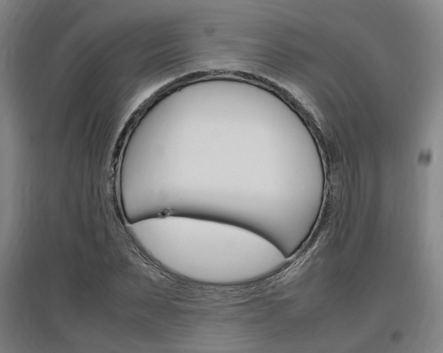 X0000097460879200802220804