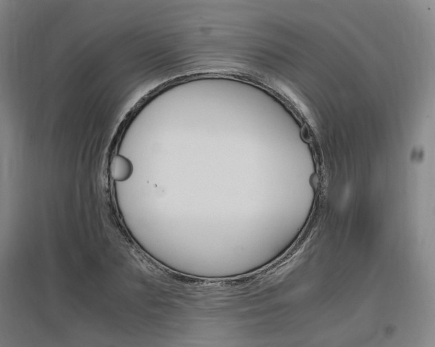 X0000097460883200802220804