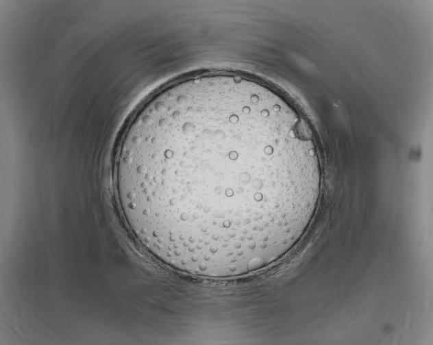 X0000097460887200802220804