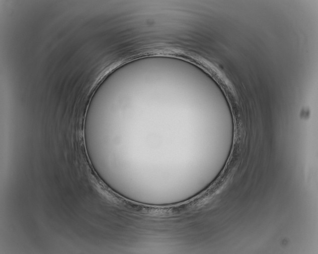 X0000097460889200802220804