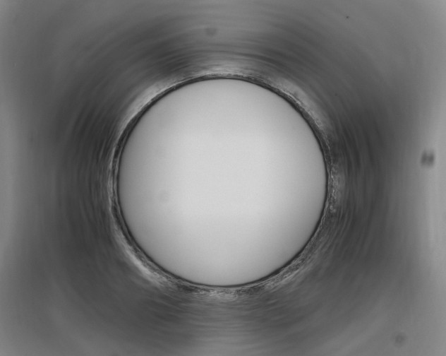 X0000097460890200802220804