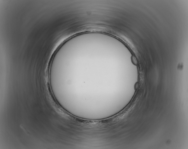 X0000097460891200802220804