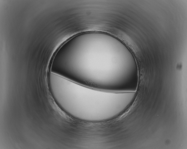 X0000097460892200802220804