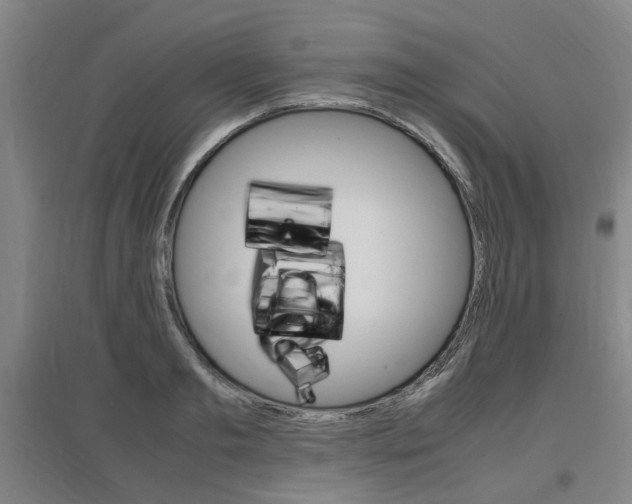 X0000097460893200802220804