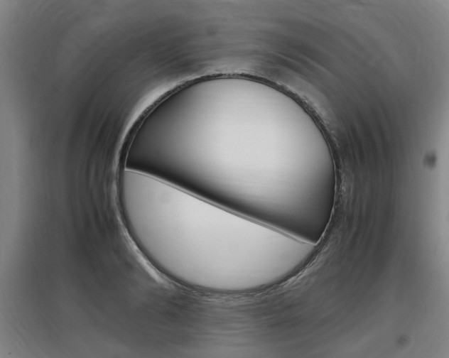 X0000097460894200802220804