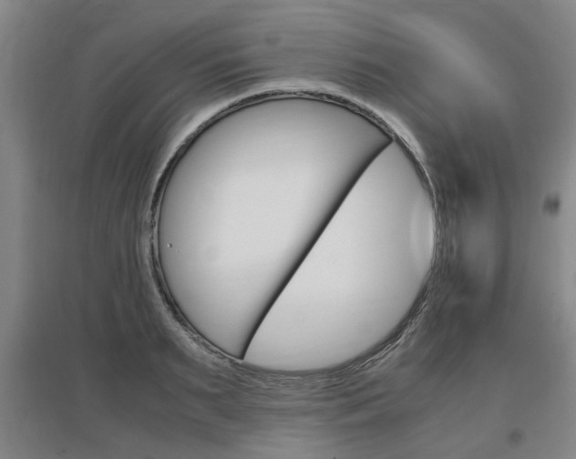 X0000097460895200802220804