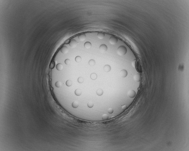 X0000097460899200802220804