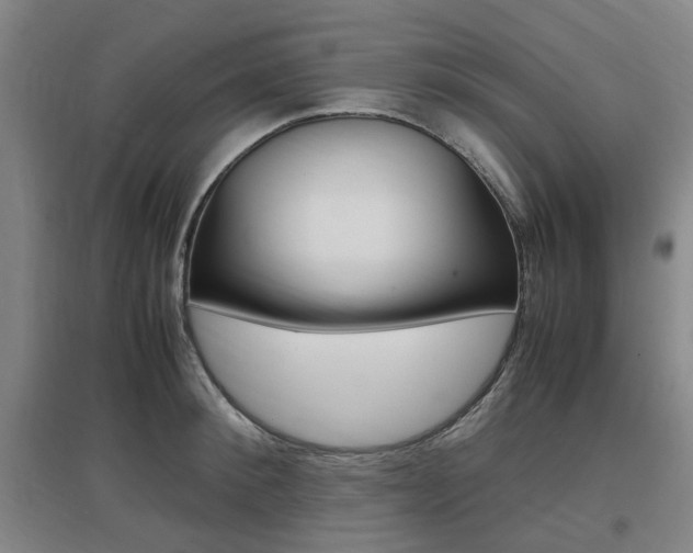 X0000097460900200802220804