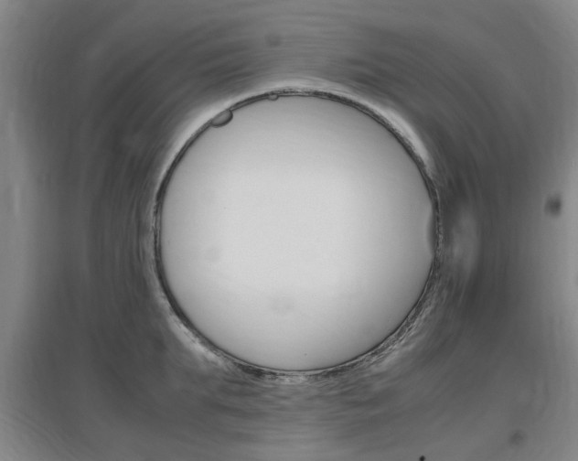 X0000097460903200802220804