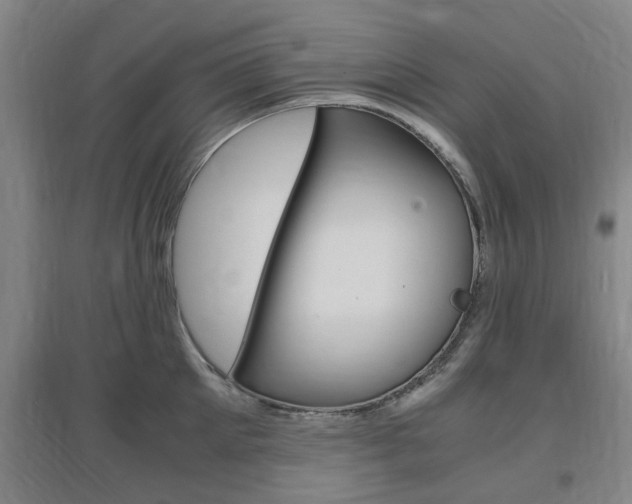 X0000097460905200802220804
