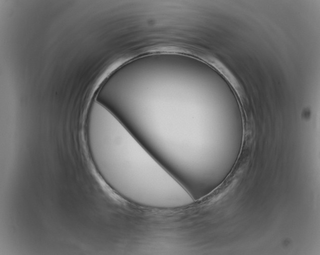 X0000097460909200802220804