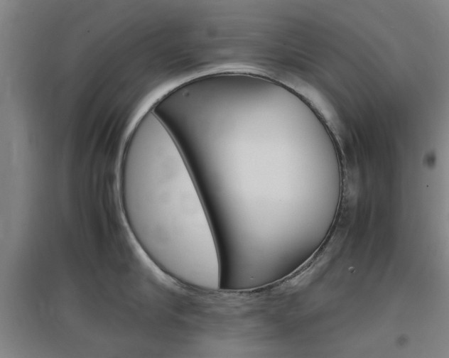 X0000097460910200802220804