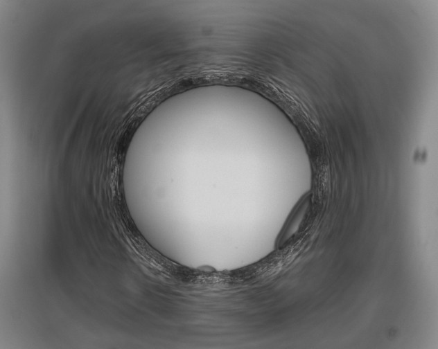 X0000097460914200802220803