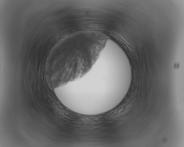 X0000097460915200802220803