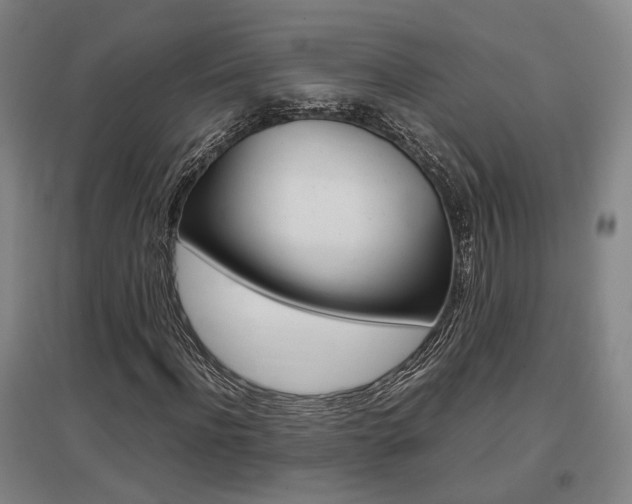 X0000097460916200802220803