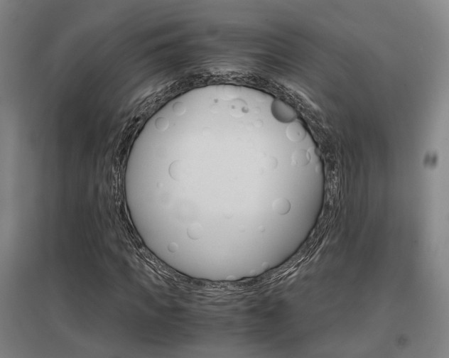 X0000097460917200802220803