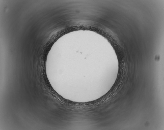 X0000097460918200802220803
