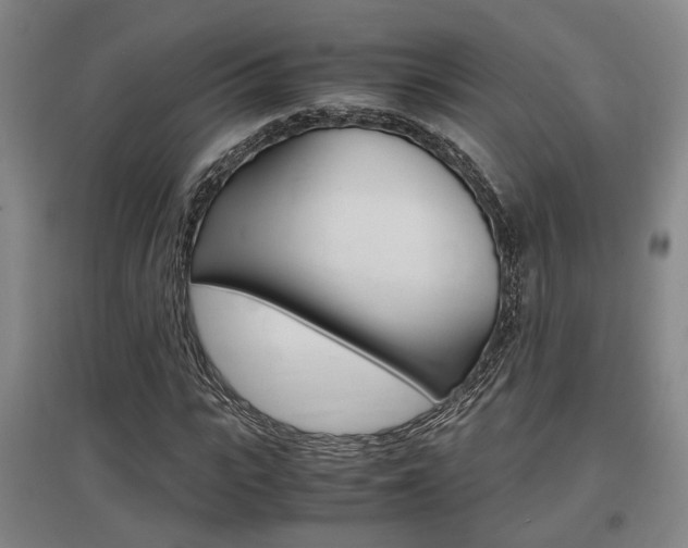 X0000097460919200802220803